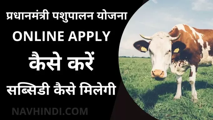 Pardhanmantri pashupalan yojana online apply kaise kare in hindi