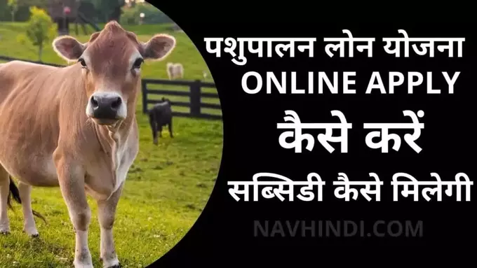 pashupalan loan yojana online apply kaise kare jane in hindi